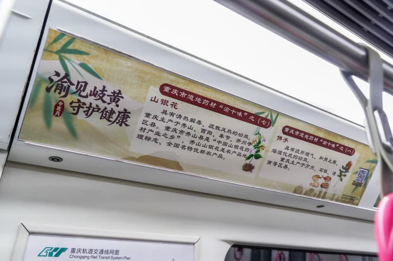 重庆“渝见岐黄”中医药文化轨道交通专列发车