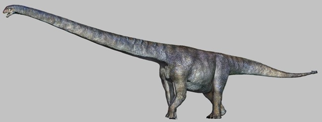 揭示东亚恐龙演化新格局  重庆发现恐龙新种